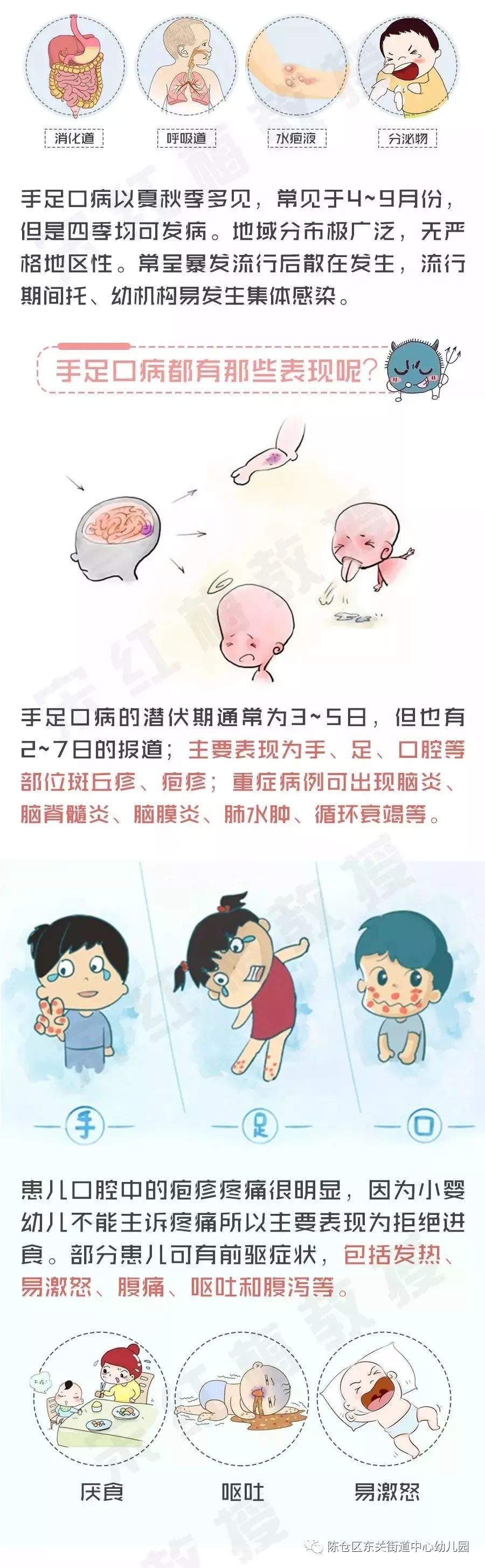 夏季传染病预防知识——手足口病,出血热,狂犬病