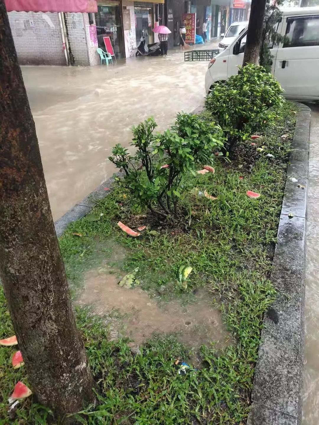 大岭山暴雨水浸街!最适合开船15地点曝光,小编带你去"