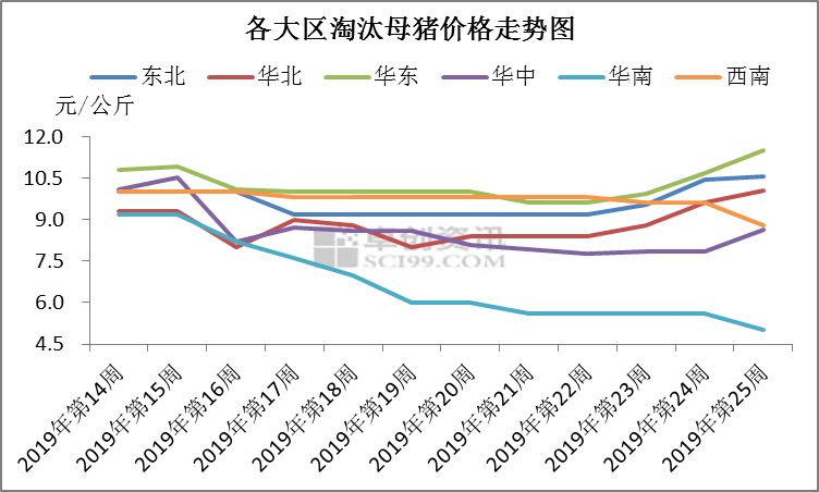 母猪GDP(2)