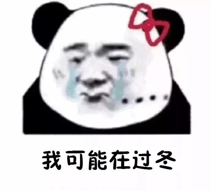 224d3c599e304695ac092d2487a6f964.jpeg