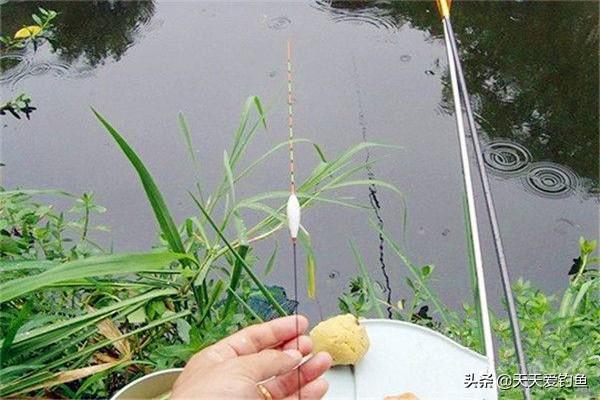 什么时候调平水什么时候半水 23b940125d494f489942f5f3bd59696d.jpeg