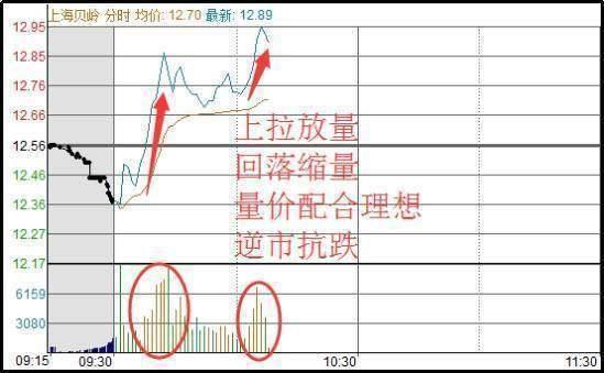 抓什么组成语_xl字母能组成什么图案(2)