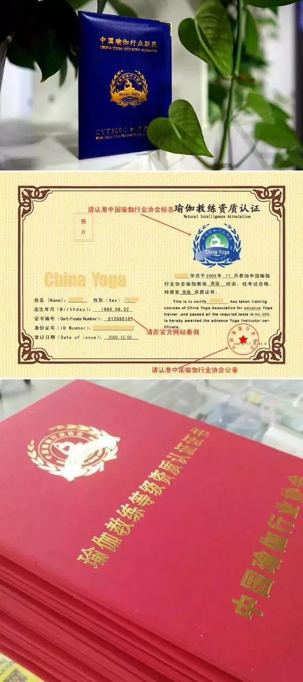 大学怎么考游泳教练证 3a95aba328f243dc893fbe5f1ebfdba2.jpeg