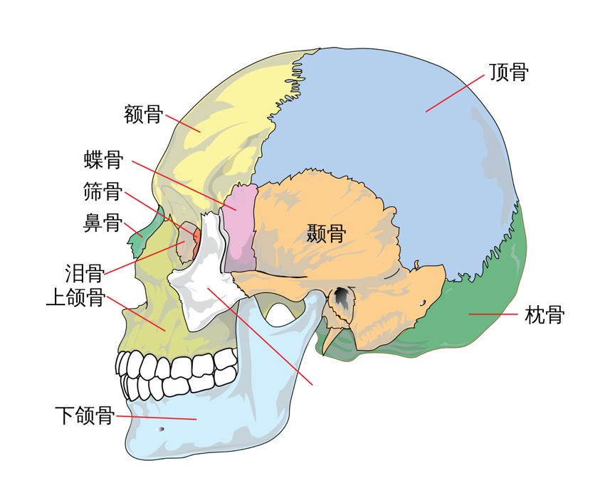 你真的了解头腔共鸣吗来看看这位洲著名男高音的演绎吧