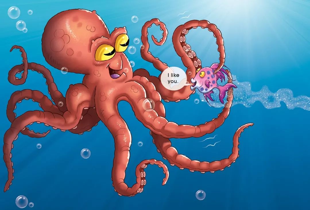 睡前故事 | octopus is a friend 章鱼是朋友