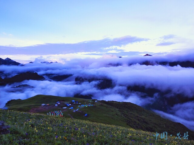 茂县九鼎山:花海烂漫 云海翻腾