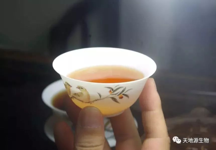 夏天的雨与喝茶的你