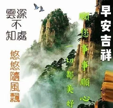 2019夏天早上好快乐问候祝福短信大全,早晨好漂亮早上