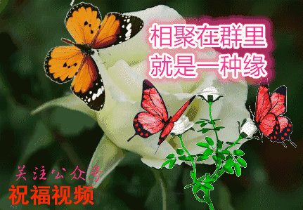 早上好,送你一首《凤凰情歌》,祝福朋友健康快乐!