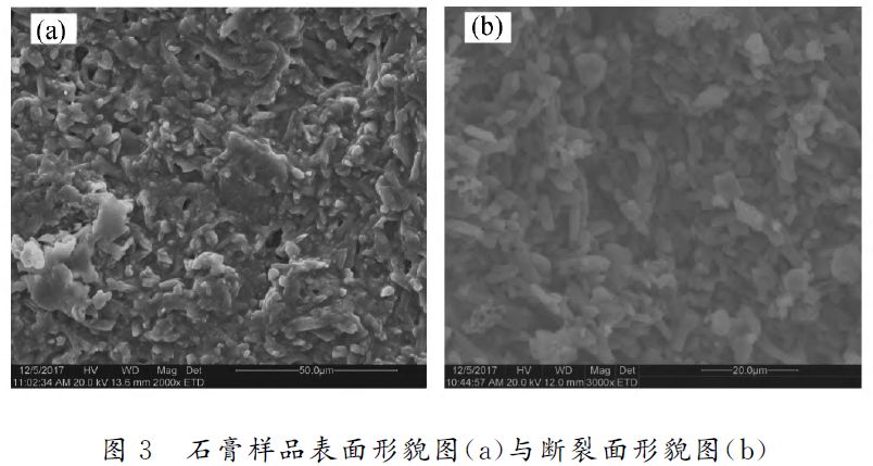 5 脱硫石膏EDS分析为研究石膏砌块制品中柱状晶体组成特征,通过EDS对