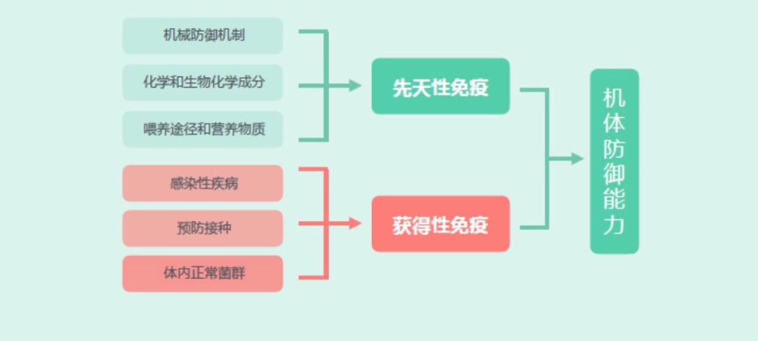 宝宝免疫力低这个因素常被忽视