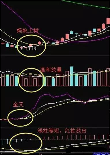 一旦股票出现蚂蚁上树形态千万次实战验证百分百是牛股