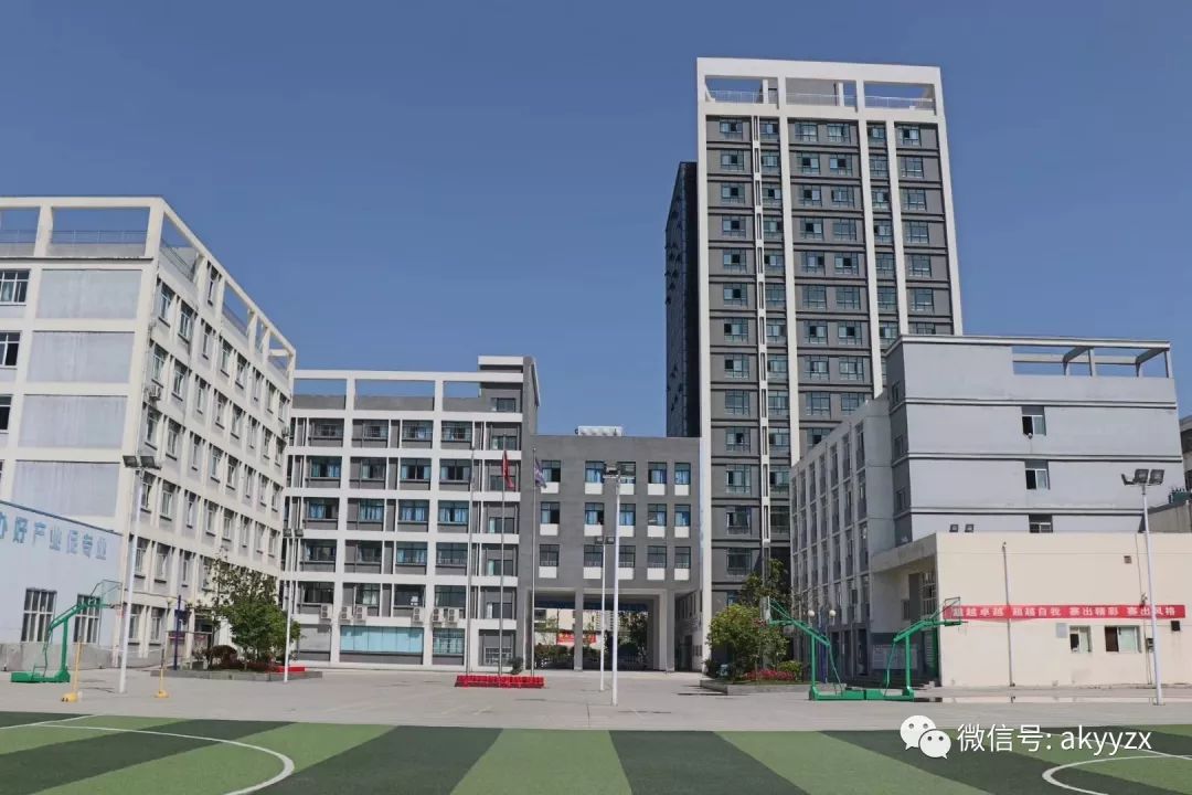 a95a00960d0d4751bc08172de660e0d7.jpeg