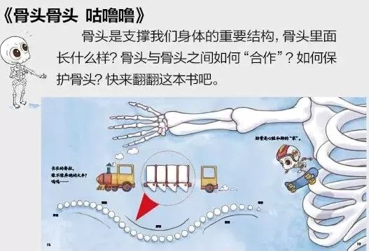                     养娃不受罪！这个知识你和宝宝都要学习！