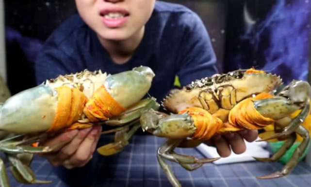 网络吃播在网上购买青蟹，两只花350元，网友评论普通人买不起:青蟹