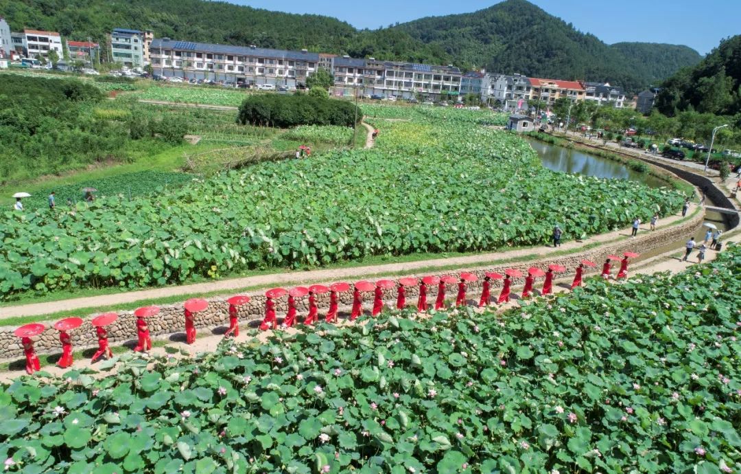 古村绍兴诸暨十四都村神奇古村落焕发新活力