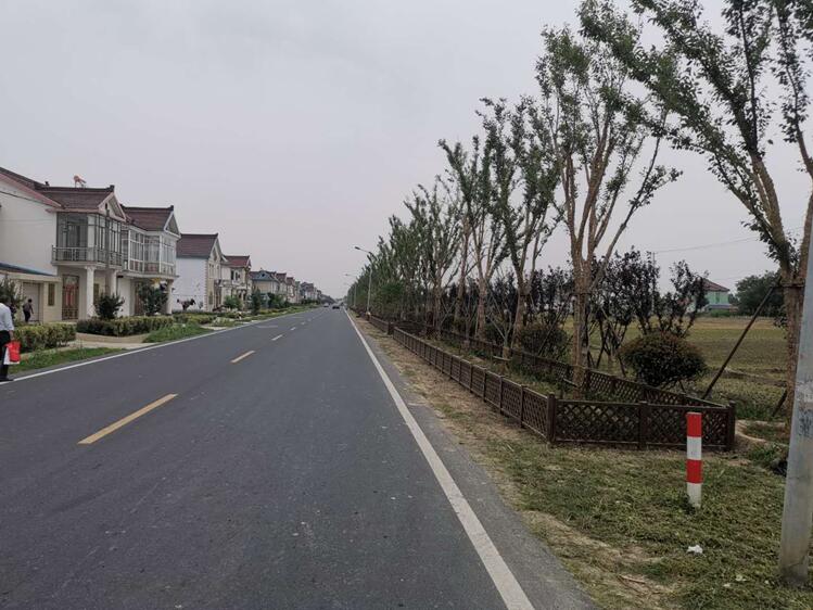 整治农村公路路域环境提升通行品质