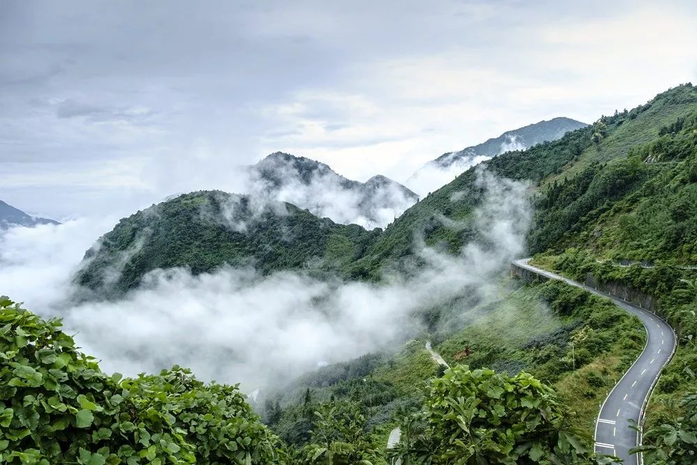 山姓全国有多少人口_山东出现肺炎疫情分布图 全国肺炎疫情最新分布图 山东(3)