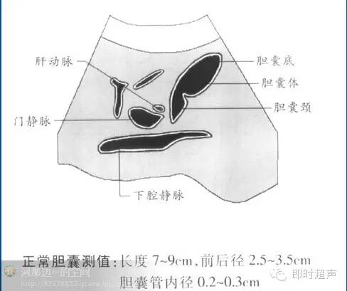 胆道系统胰腺超声检查基础及标准切面