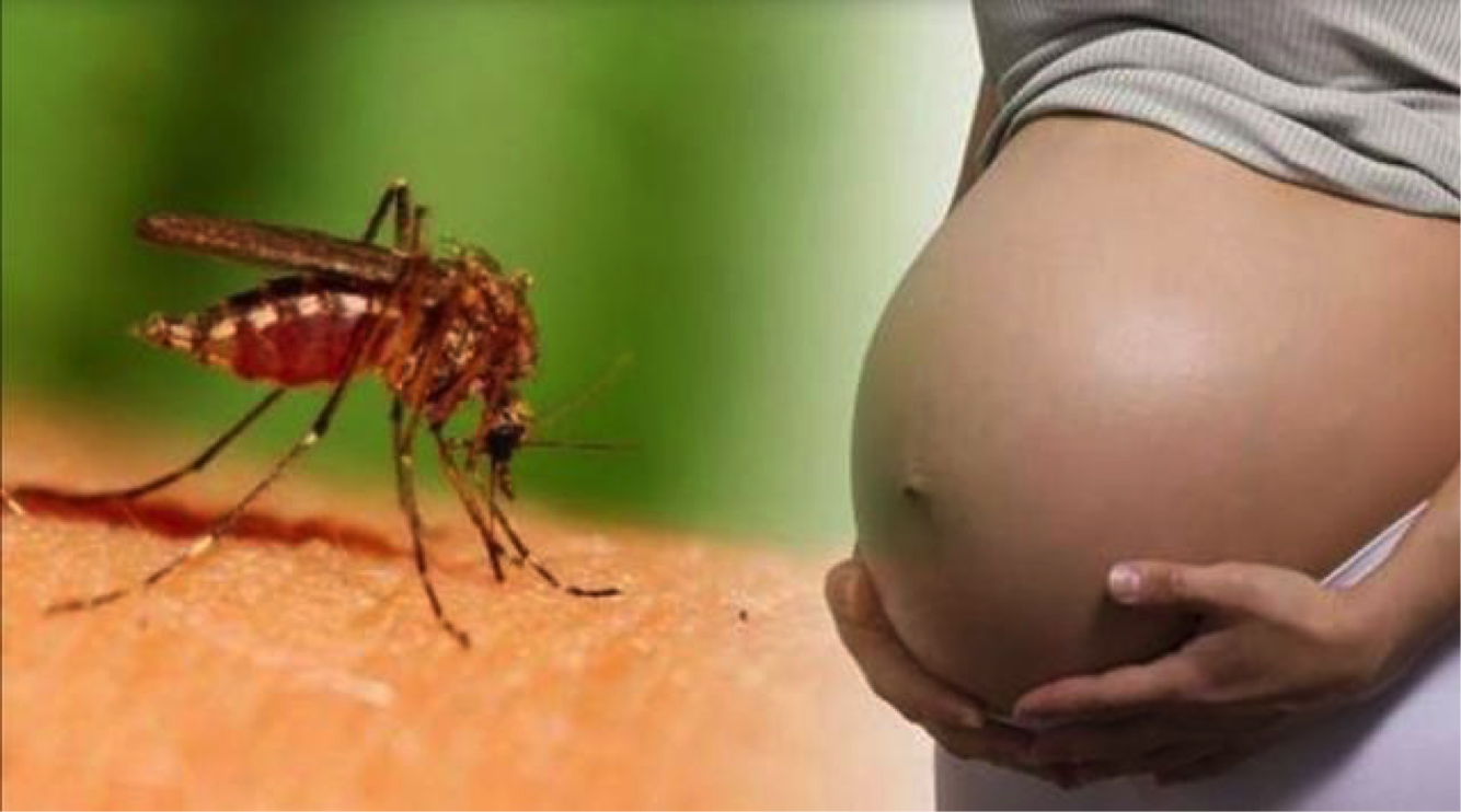 孕妇爱招蚊子叮，病菌进入血液里，会对胎儿有害吗？ 血液细菌