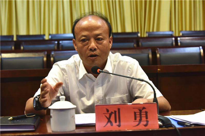 刘勇在会上作重要讲话