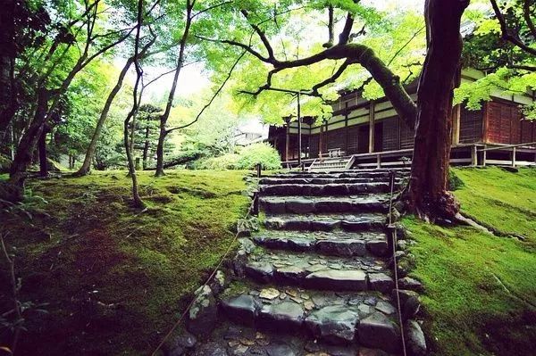 荣西人口