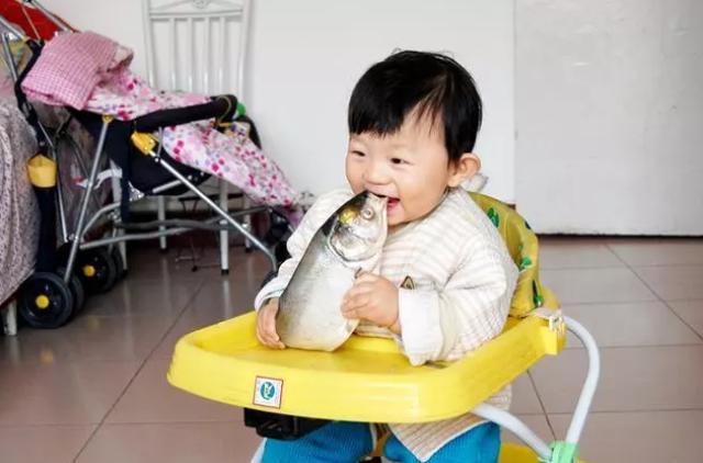                     多吃鱼能变聪明？儿科医生：这5种鱼一口别吃，影响发育还不长个