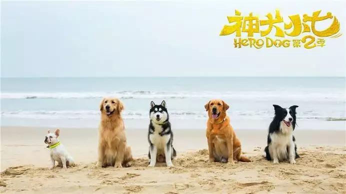 神犬小七简谱_神犬小七前奏简谱