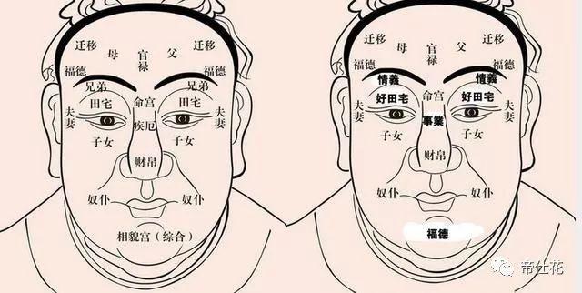 人的面部就像一个高深莫测的密码集成,上面注明了一个人一生的富贵