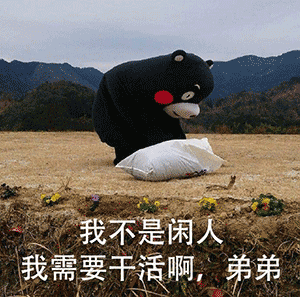 表情什么都是他们的我这胖子连脖子都没有杂图表情包
