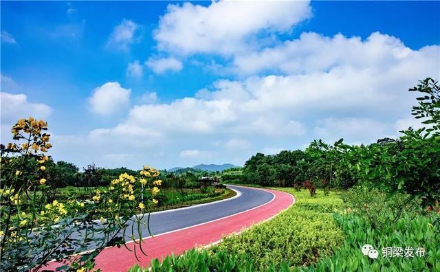 赞赞赞西郊绿道获评重庆十大最美乡村
