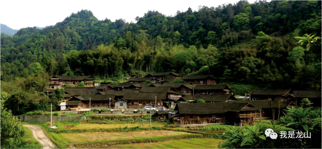 红岩溪镇头车村大字沟天井村山寨各传统建筑的屋前屋后均栽有时令