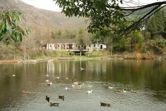 地址:咸安区桂花镇 松鹤山庄