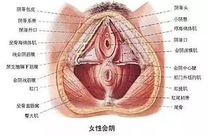 顺产也要挨一刀？解读顺产侧切全过程！看着就疼