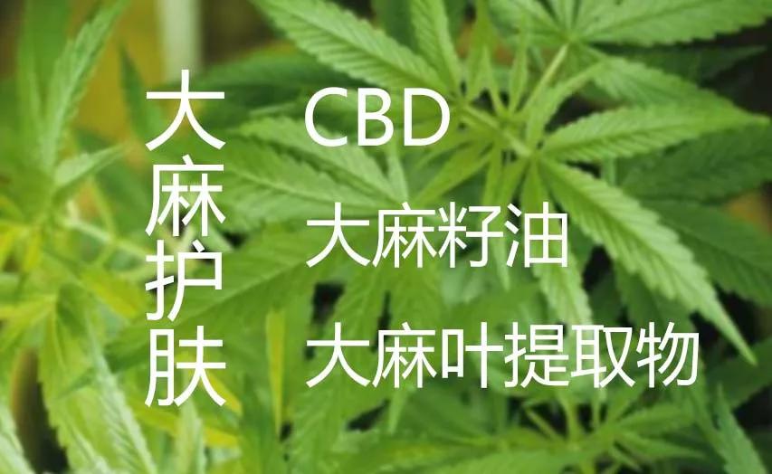 hemplus大麻正在应用于化妆品中这波流行你追不追