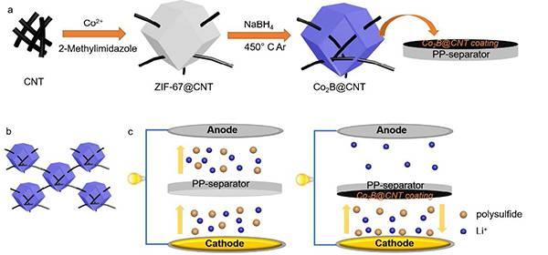 通过co2b @ cnt的超强协同"吸附作用"助力高性能锂硫电池