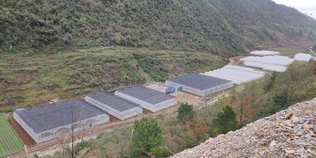 高峰村人口_兴业县高峰镇永德村