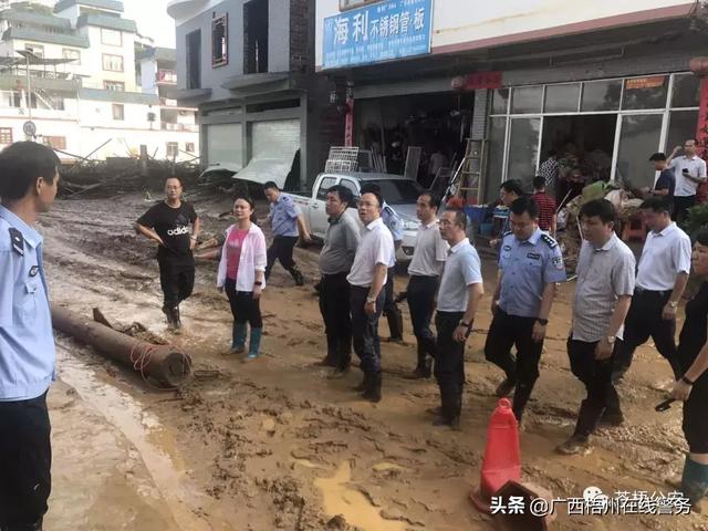 六堡镇人口多少_六堡镇旅游景点(2)