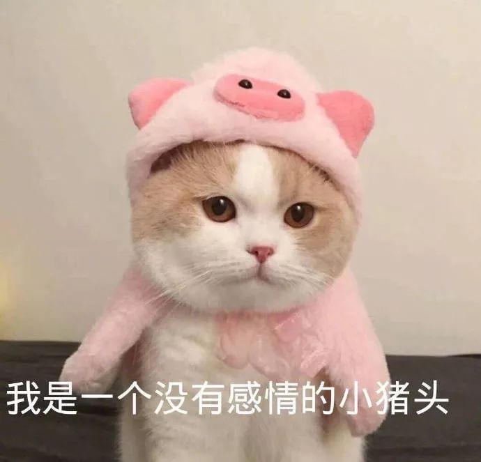 3b14e083f2af447eb3b0ba70d086aeae.jpeg