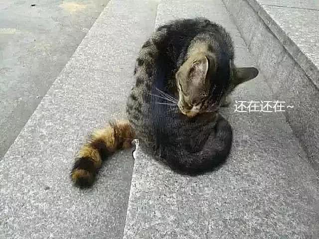 3c71189a04184086bc5a885323f6267e.jpeg