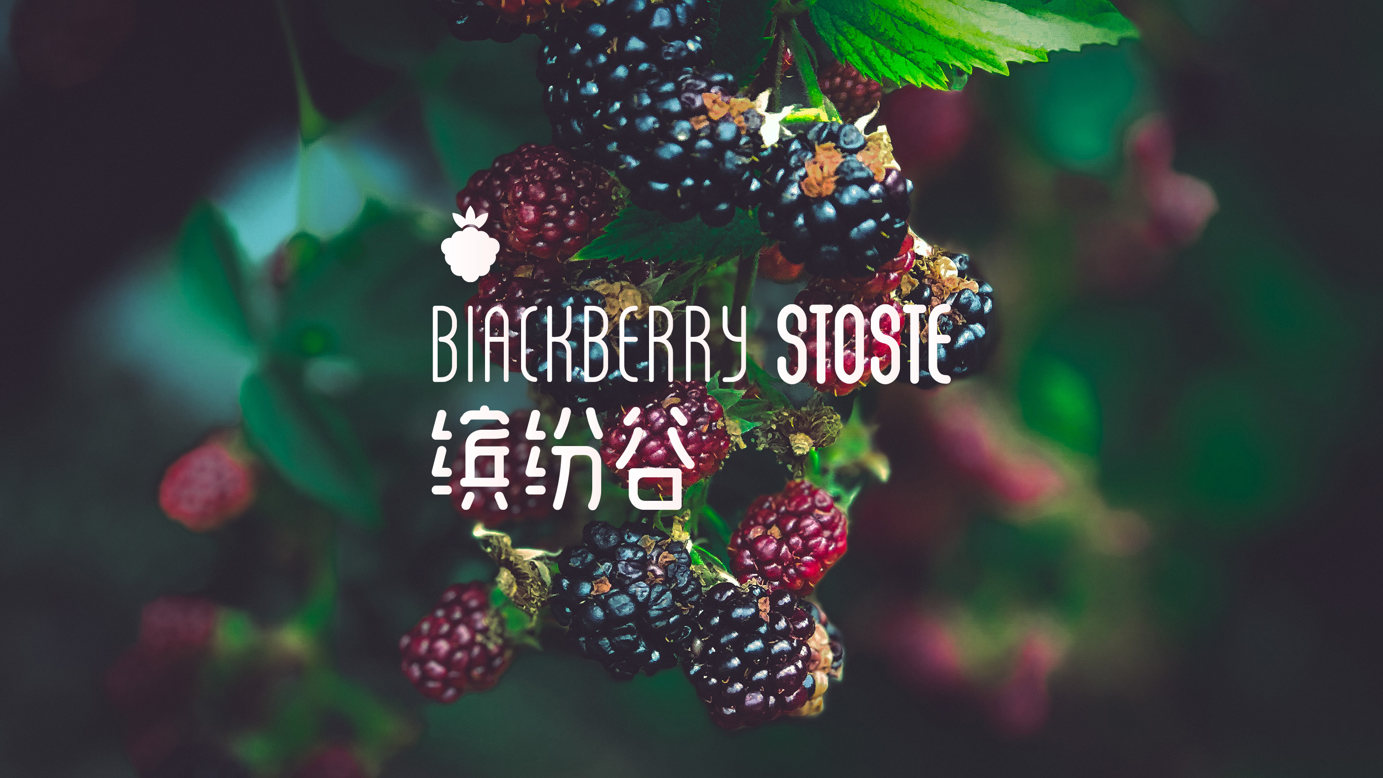 3f913e2f353840669f31de0677c4b6a7.jpeg