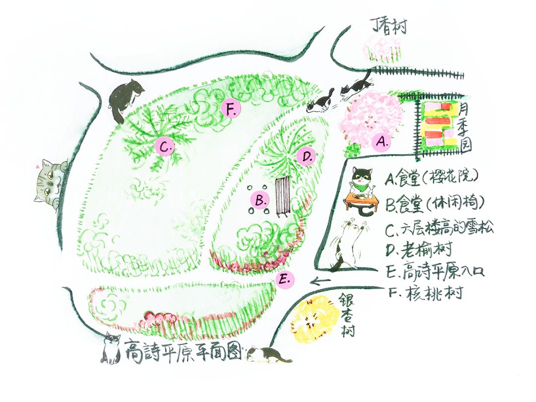 李老庄人口_人口普查(3)