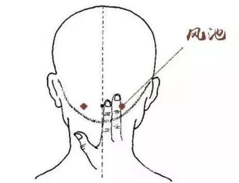 风池穴 位于后脑勺下方颈窝的两侧, 由颈窝往外约两个拇指左右的位置