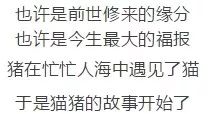 姜玉阳丢了幸福的猪撕心裂肺的歌声太伤感了