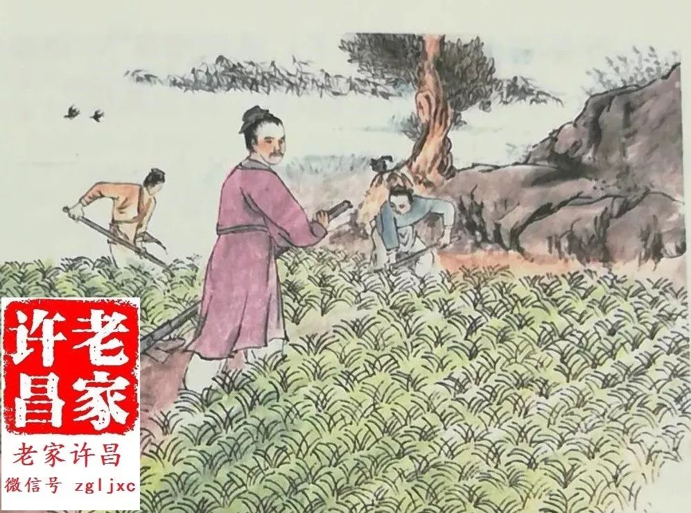 感谢《良耜》这首诗,它最大的特色是"诗中有画",细细品味它,我们再次