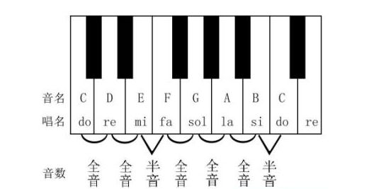 干货 ▏基本音级与变化音级