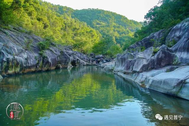 白坑湖 牛爸爸奋斗了一生 有无敌大湖景 有吃不完的草 普宁职校 泡泡