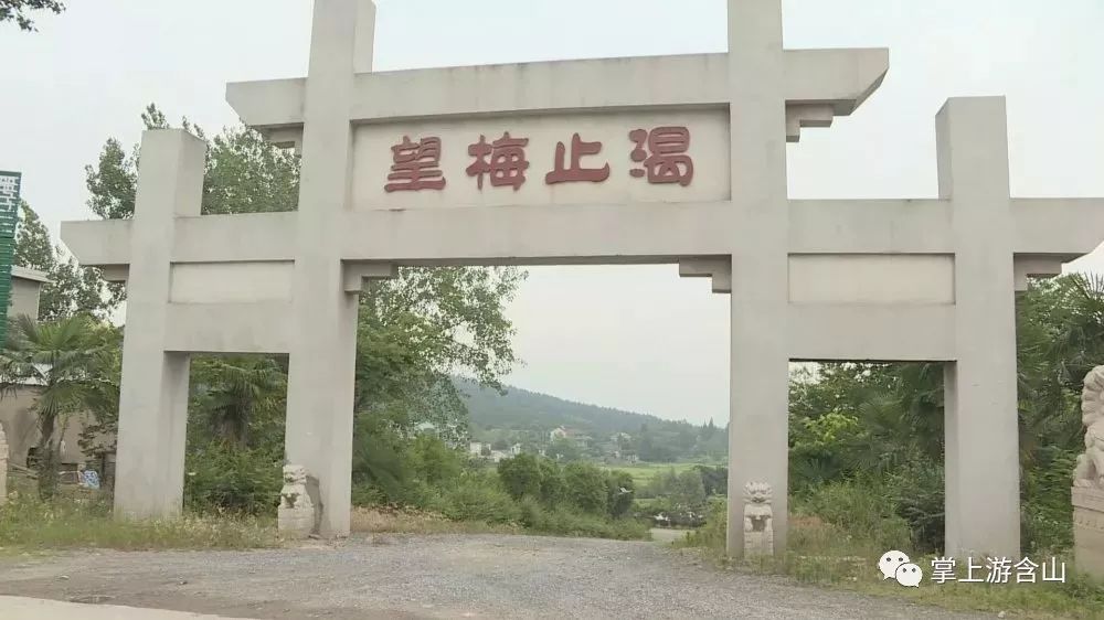 成语什么摘果_成语故事图片