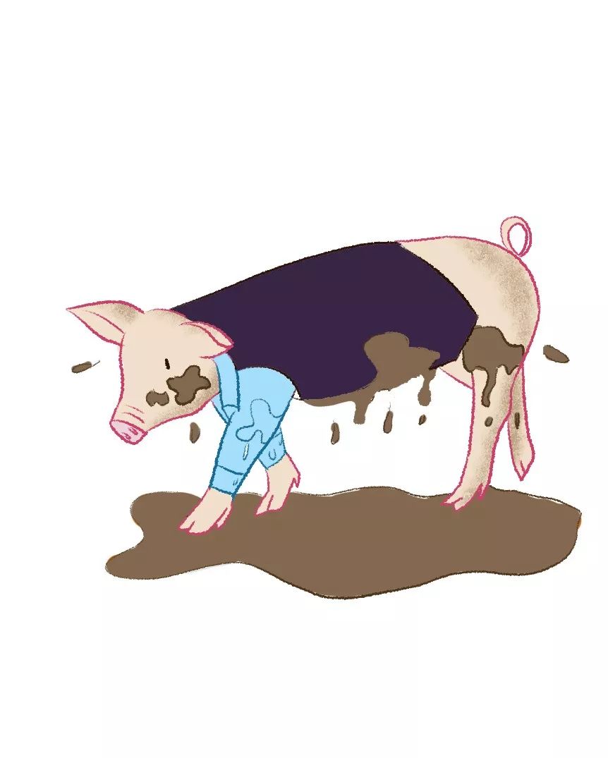5.因为,一头猪可能会把衣服搞得脏兮兮.