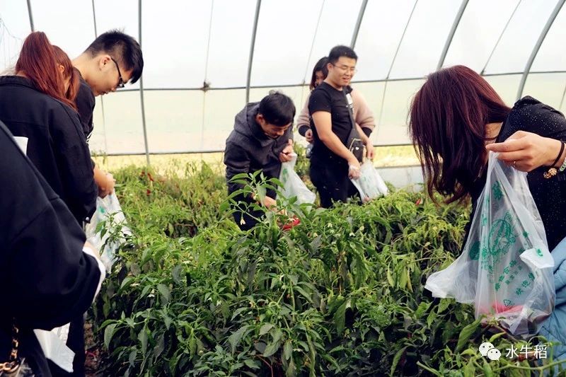 水牛稻童话之旅——暑期总动员:让孩子在疯玩中学习,在大自然中成长